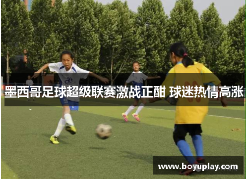 墨西哥足球超级联赛激战正酣 球迷热情高涨